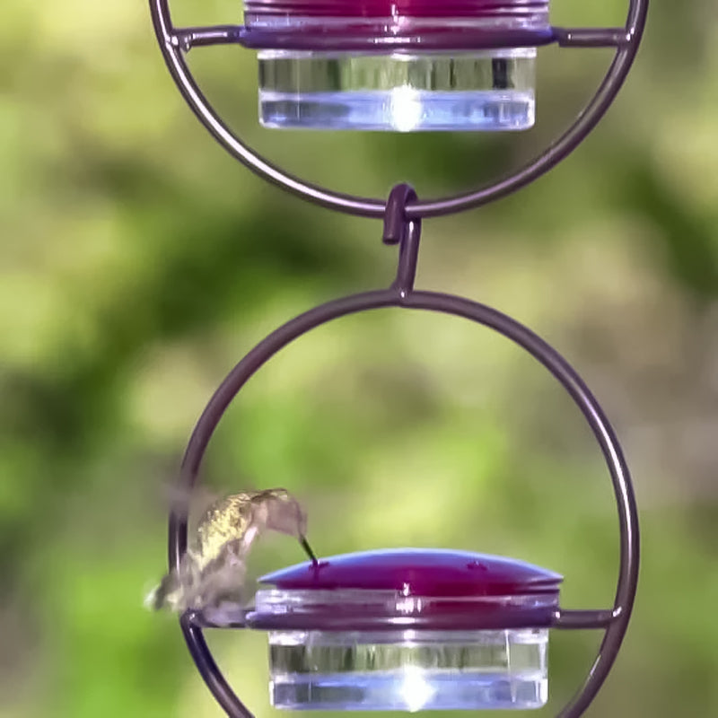 Lisslune | Simple Hummingbird Water Dispenser Made of Metal