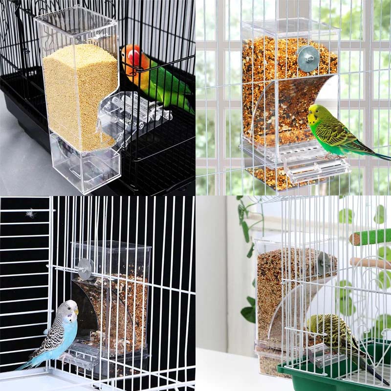 Lisslune | Automatic transparent bird feeder without spills