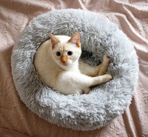 Lisslune | Fluffy Calming Pet Bed for Dogs and Cats