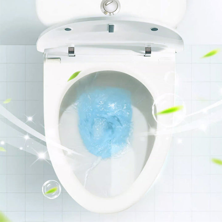 Lisslune | Powerful cleaner for stains in toilet shine with oxalic acid