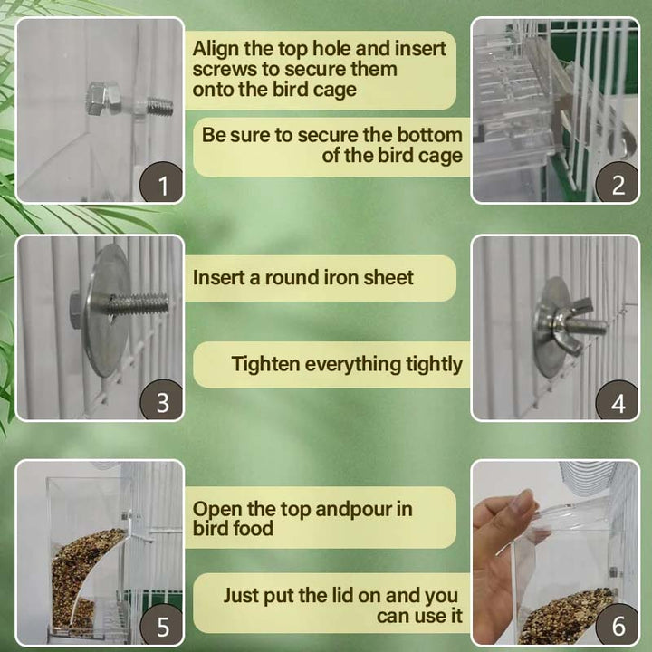 Lisslune | Automatic transparent bird feeder without spills