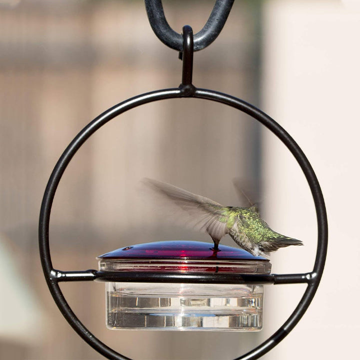 Lisslune | Simple Hummingbird Water Dispenser Made of Metal