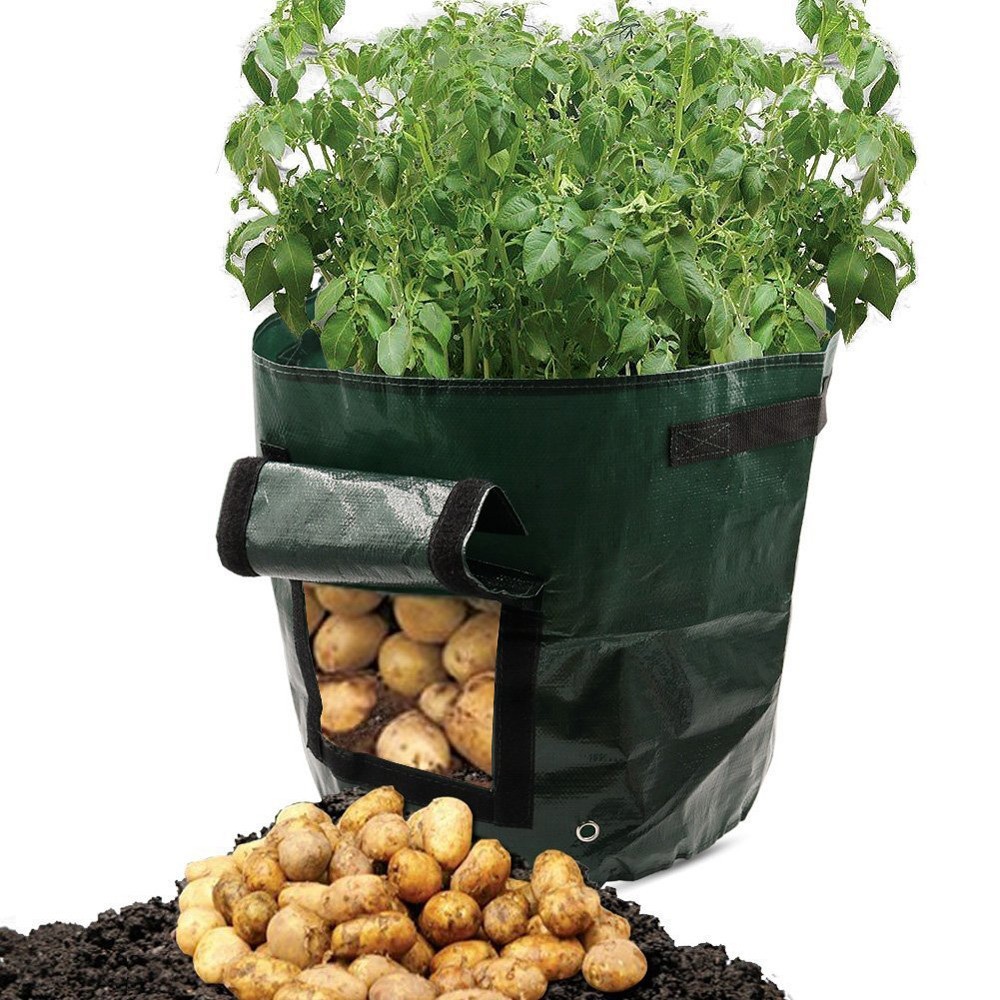 Lisslune | Planting bag for potatoes – Reusable and with viewing window