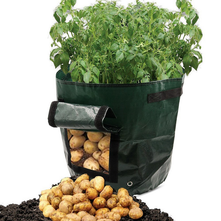 Lisslune | Planting bag for potatoes – Reusable and with viewing window