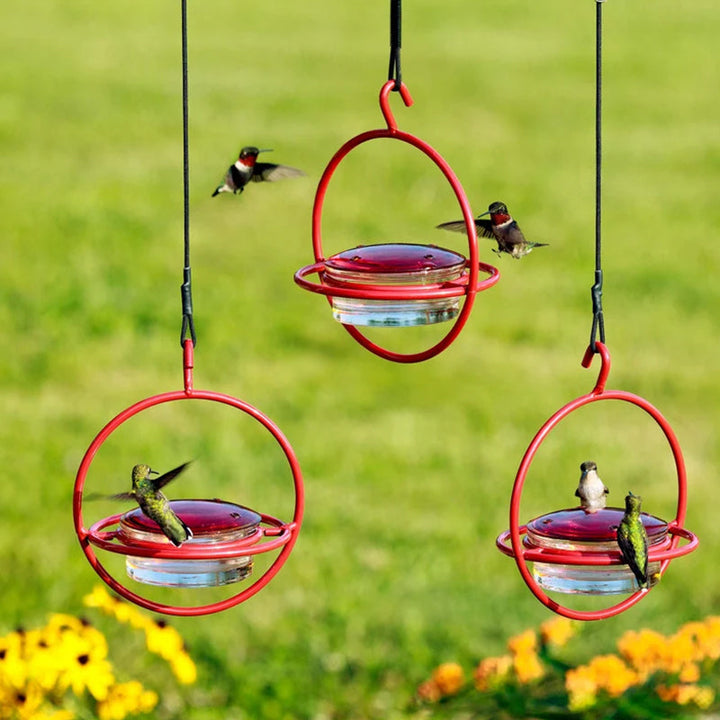 Lisslune | Simple Hummingbird Water Dispenser Made of Metal