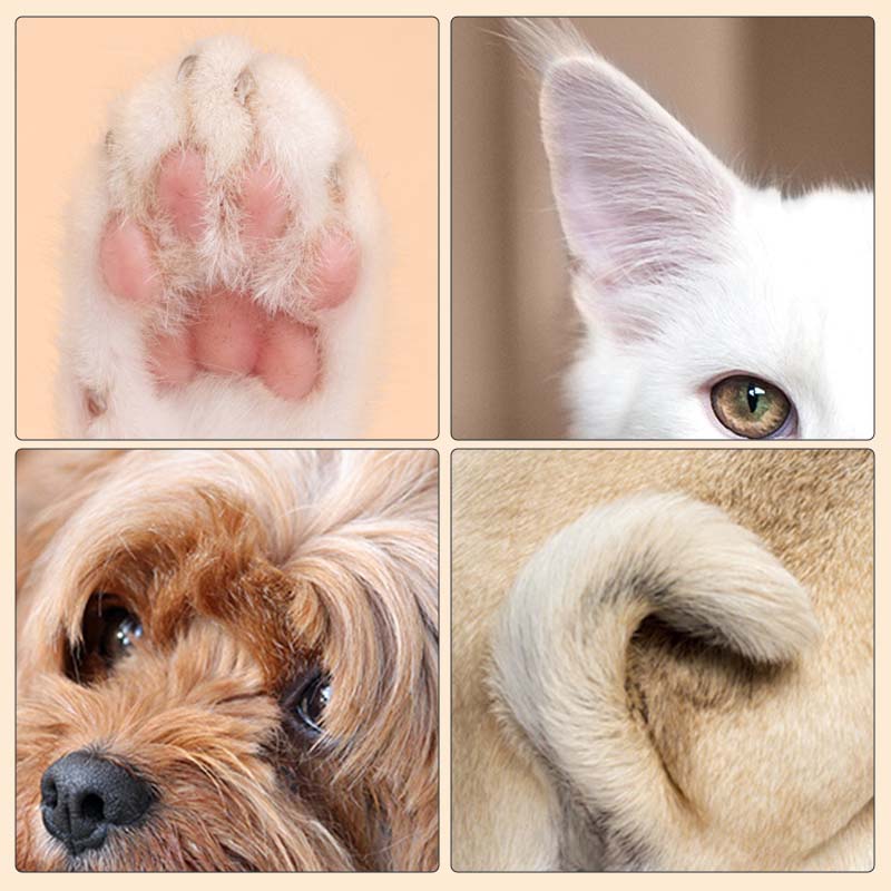 Lisslune | Pet Hair Clipper with LED Light