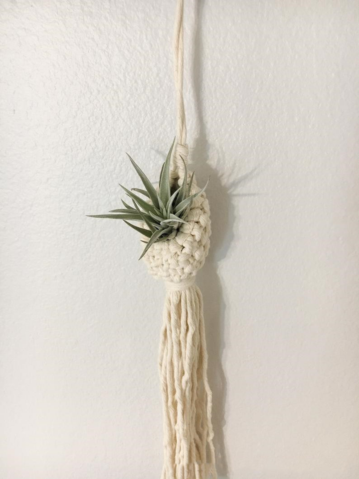 Lisslune | Handmade Macrame Plant Hanger – Decorative Suspension for Plants in Boho Style