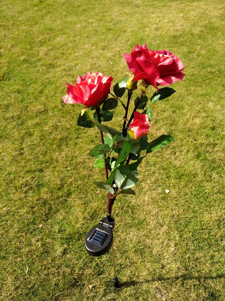 Lisslune | Solar-powered rose lights – garden stakes with solar panel for decorative lighting
