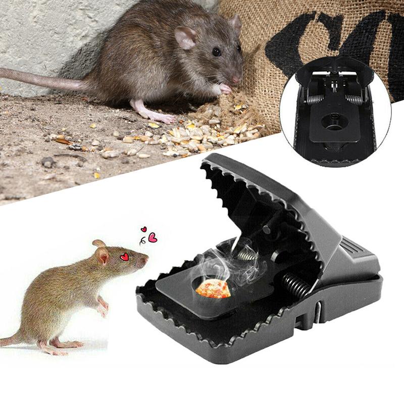 Lisslune | Reusable Traps for Rat Control
