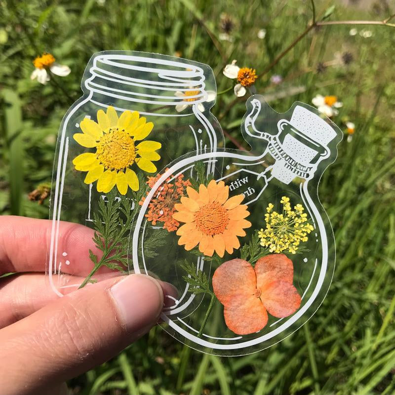 Lisslune | Transparent dried flower bookmarks (30 pieces/set)