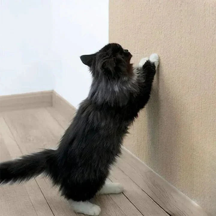 Lisslune | SCRATCHHAVEN – Stylish scratching mat for cats to protect your furniture