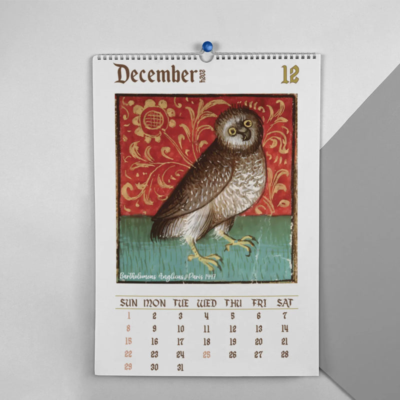 Lisslune | Medieval Owl Calendar