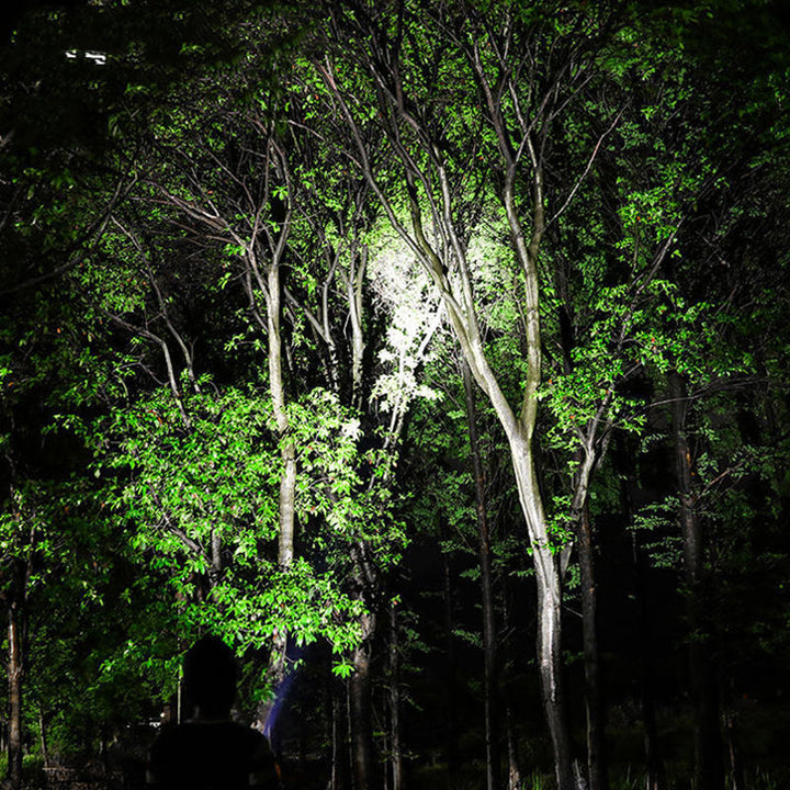 Lisslune | Multifunctional LED Flashlight