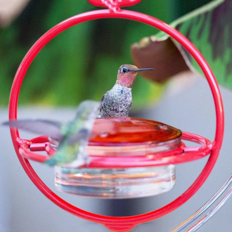 Lisslune | Simple Hummingbird Water Dispenser Made of Metal