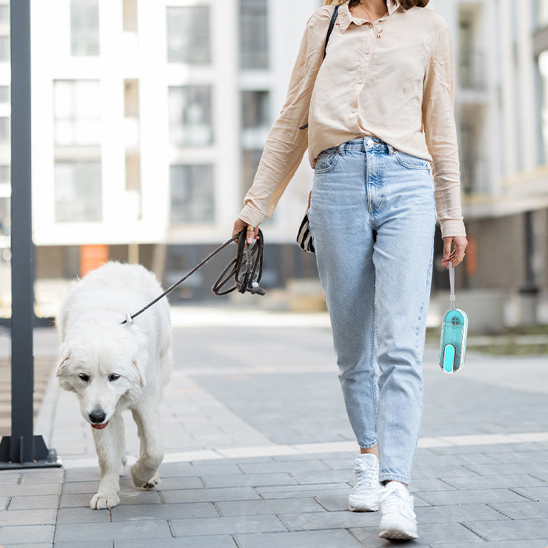 Lisslune | Pet Cups comfortable and foldable