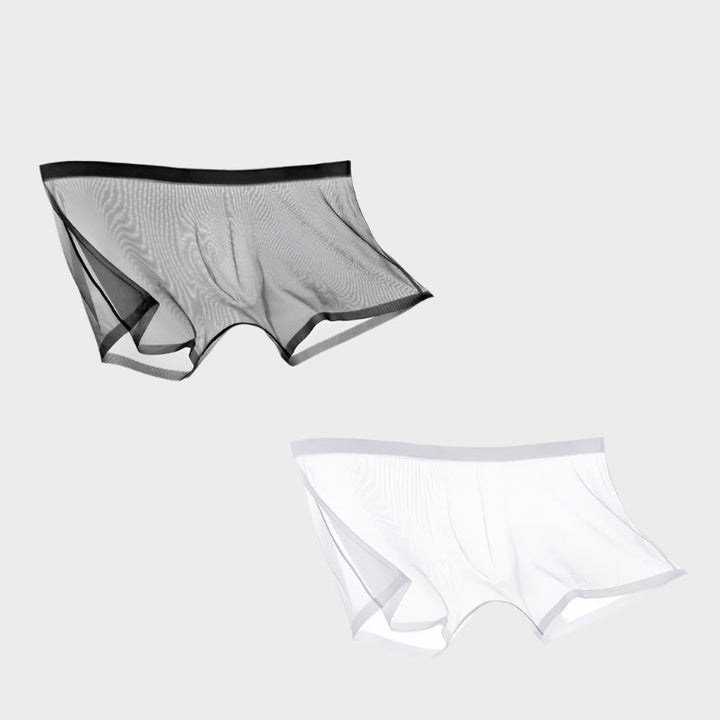 Lisslune | ICE-MESH-BOXER SHORTS
