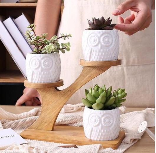 Lisslune | Decorative plant stand made of wood – plant pots in owl design for succulents and indoor plants