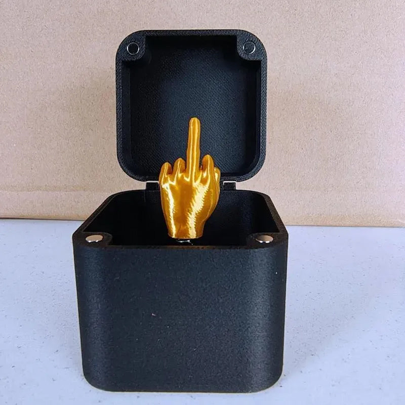 Lisslune | Middle finger in a box