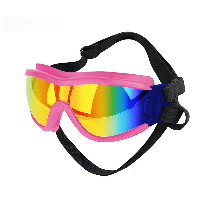 Lisslune | Outdoor Protection Glasses for Dogs