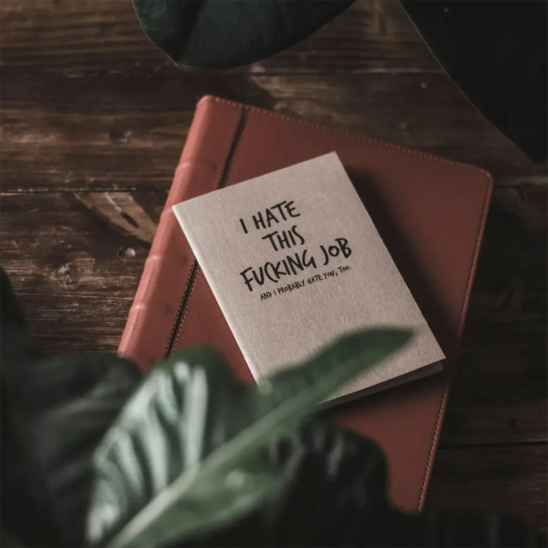 Lisslune | Schimpf Notebook & Pen Set🤣
