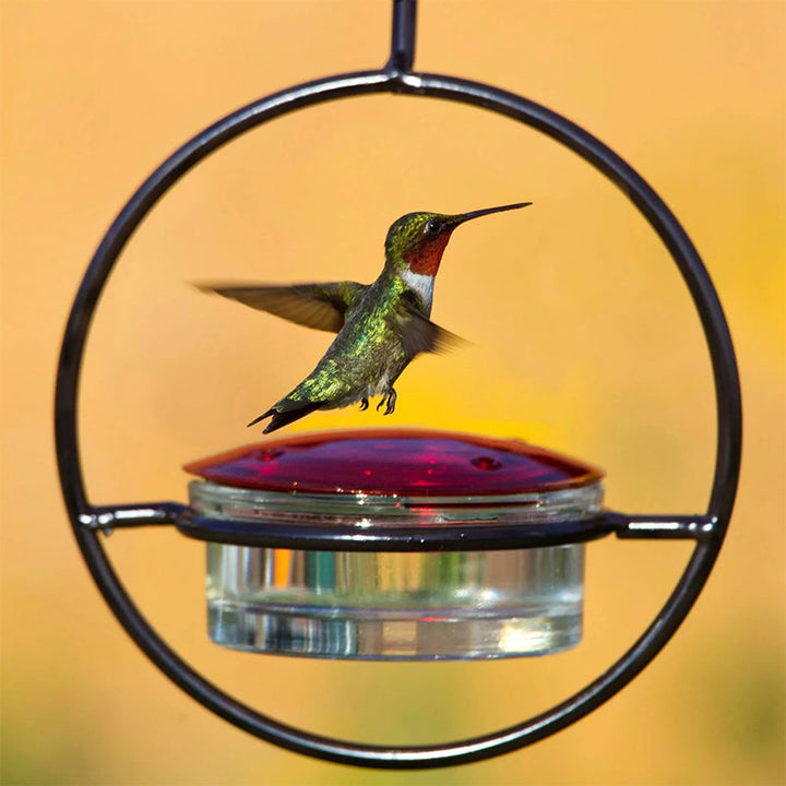Lisslune | Simple Hummingbird Water Dispenser Made of Metal