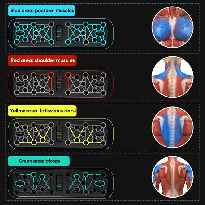 Lisslune | Folding Push-Up Multi-Muscle Trainer