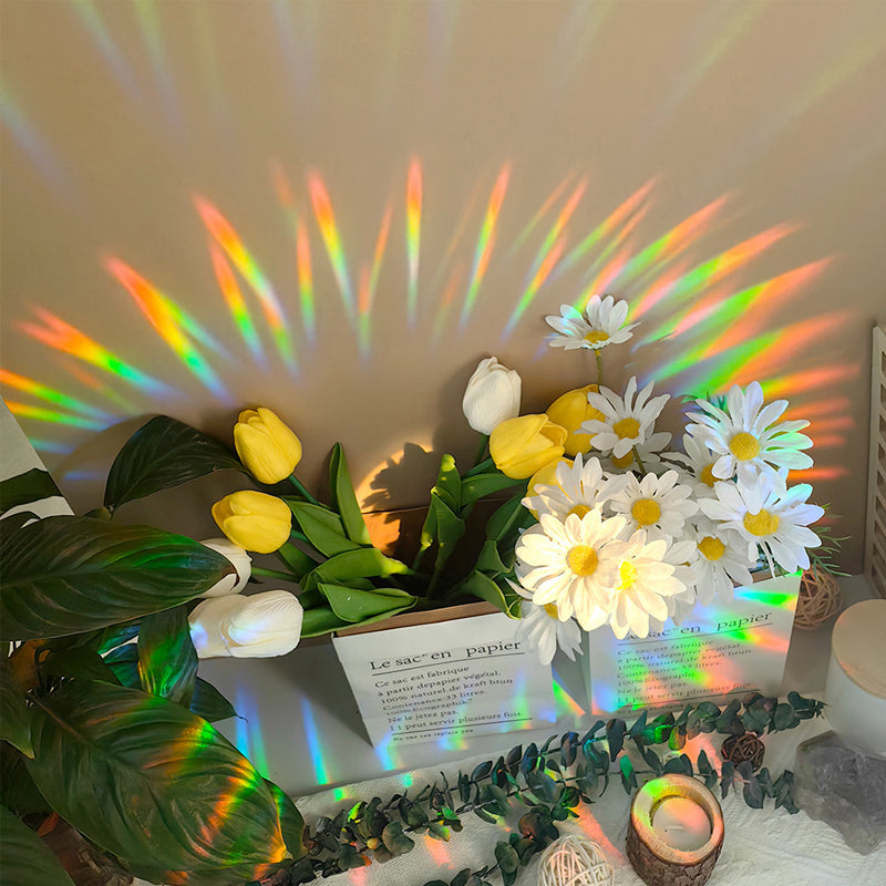 Lisslune | Sun catcher PVC static glass window sticker
