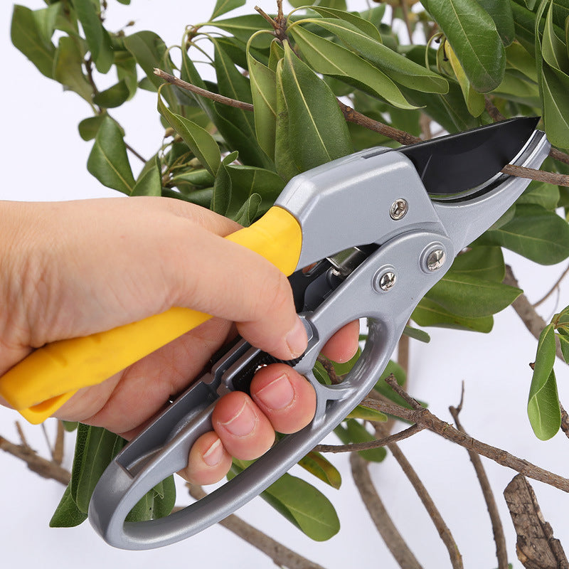Lisslune | Professional Scissors Garden Hedge Trimmer