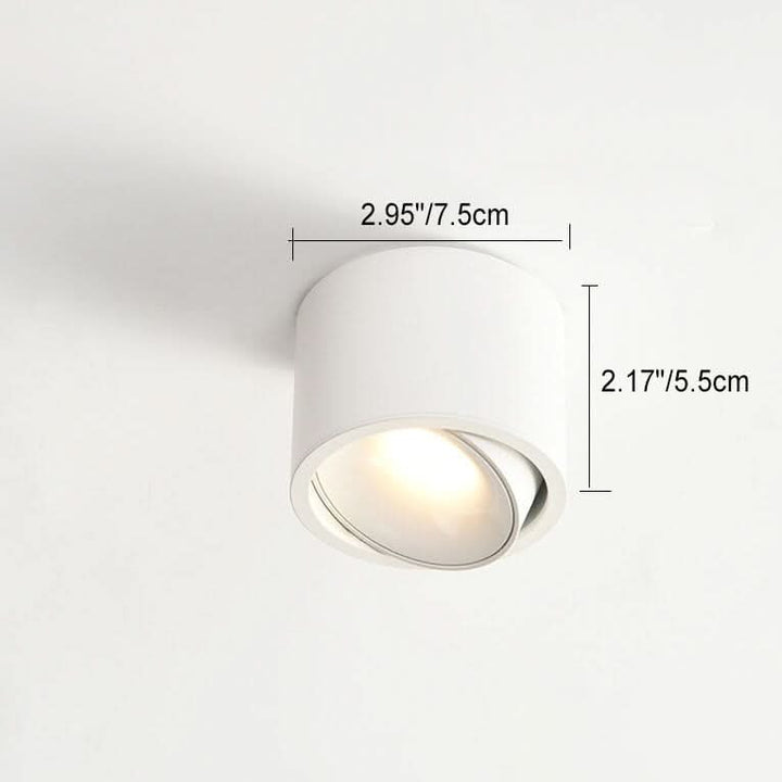 Lisslune | Adjustable LED Flush Mount Ceiling Spotlight