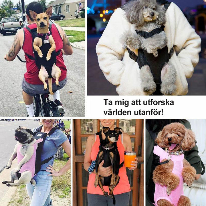 Lisslune | Pet Backpack Front