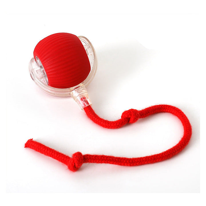 Lisslune | Indoor Cat interactive ball