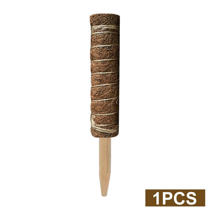 Lisslune | Coconut moss stick for climbing plants – Natural climbing aid for houseplants and garden