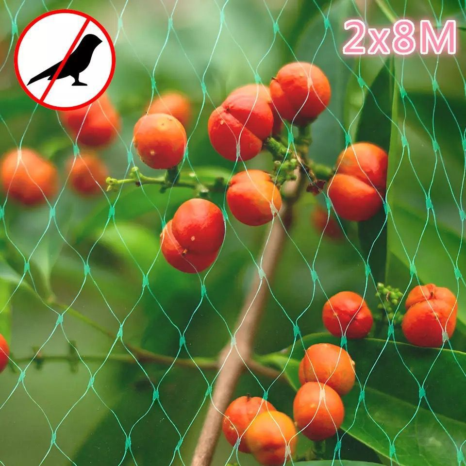 Lisslune | Protective net for garden plants – Green net against pests and animals