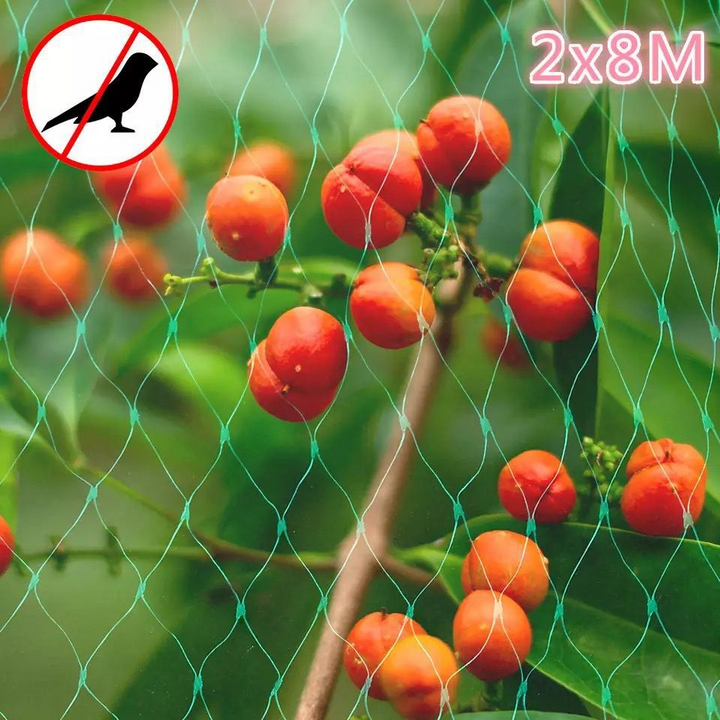 Lisslune | Protective net for garden plants – Green net against pests and animals