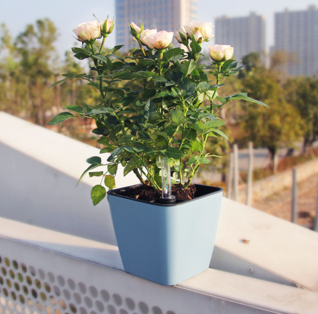 Lisslune | Flower pot with irrigation system – Self-watering plant pot for indoor and outdoor use