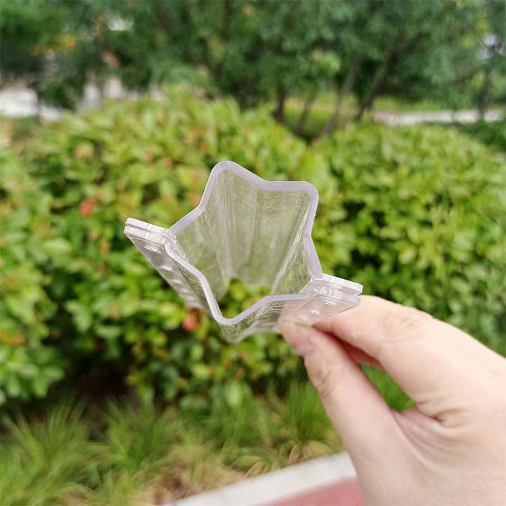Lisslune | Love Shape Cucumber Growth Form