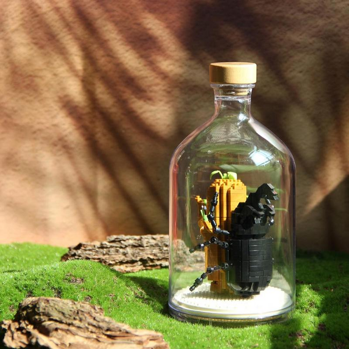 Lisslune | Mini building blocks for insect collection