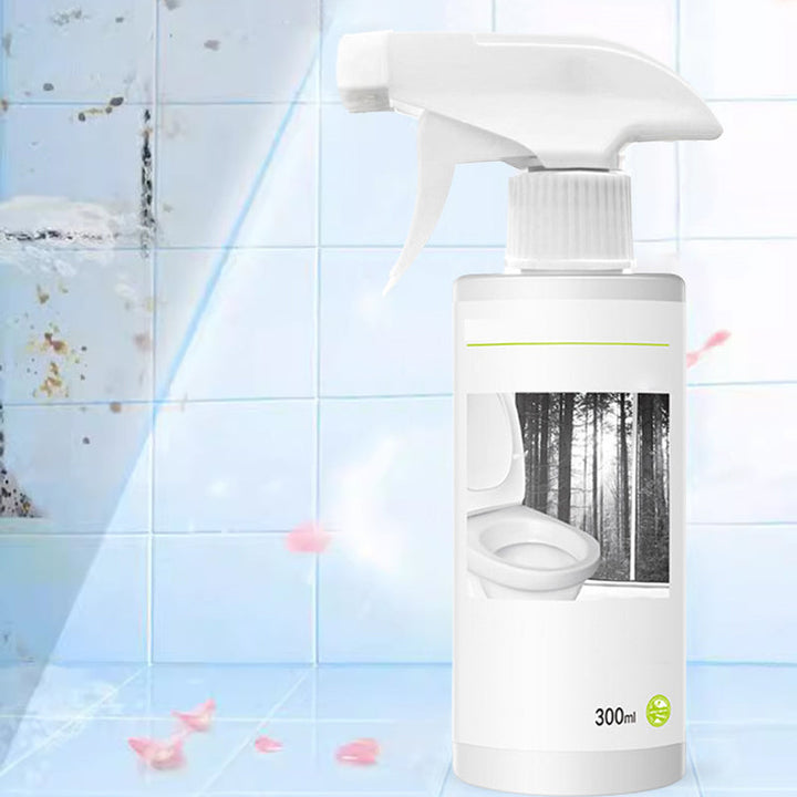 Lisslune | Powerful cleaner for stains in toilet shine with oxalic acid