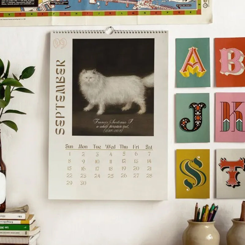 Lisslune | 2024 Wall Calendar, Funny Art Novelty Gift