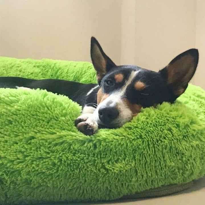 Lisslune | Long Plush Donut Pet Bed with Washable Cover and Non-Slip Base