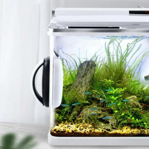 Lisslune | Magnetic Aquarium Glass Cleaner | Easy-Grip Design & Corner-Savvy Blades for Crystal-Clear Views and Algae-Free Habitats