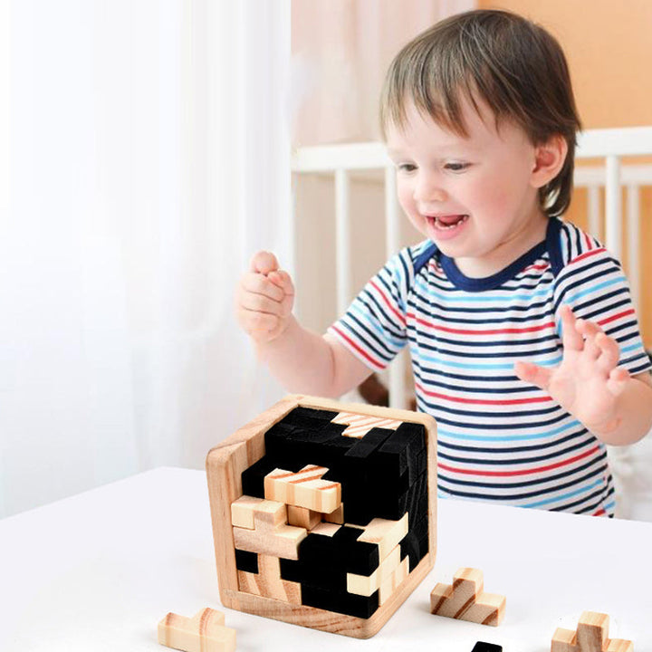 Lisslune | Wood intelligence toy brain teaser game