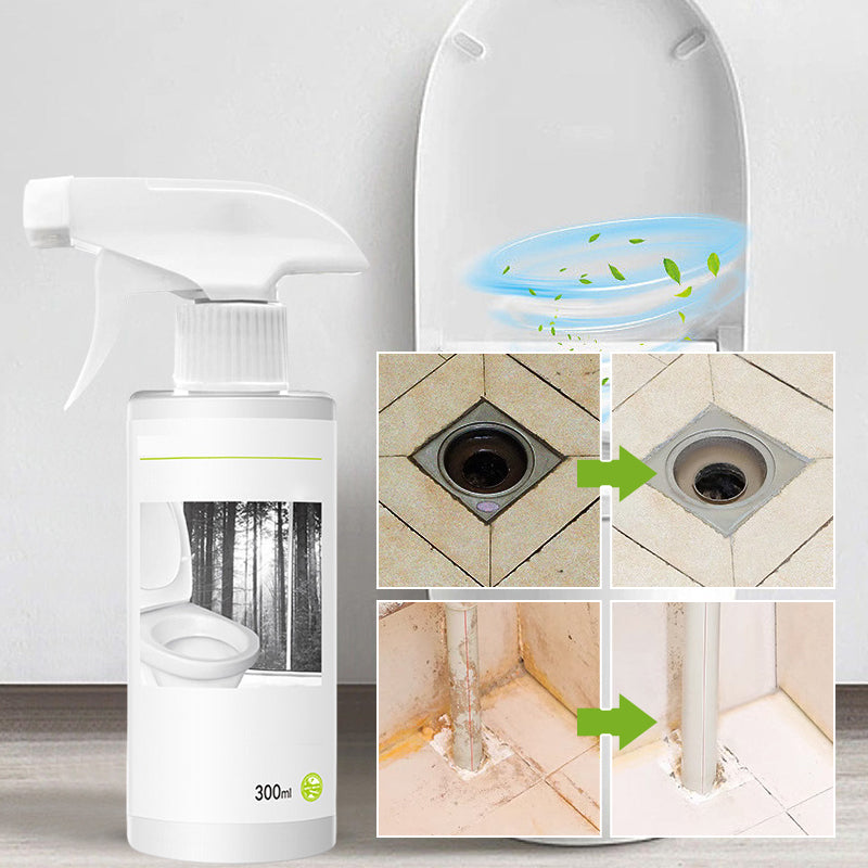Lisslune | Powerful cleaner for stains in toilet shine with oxalic acid