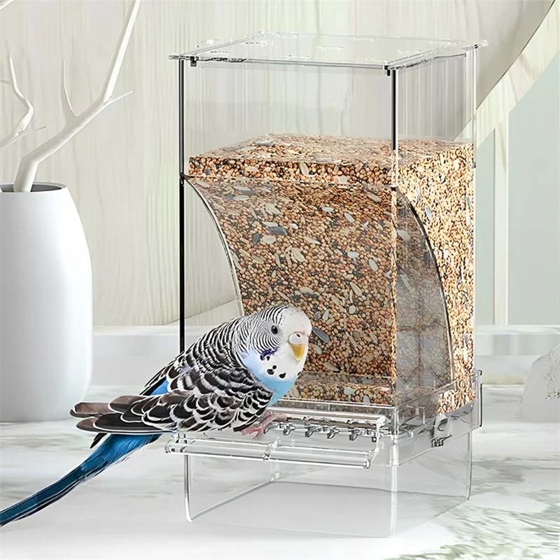 Lisslune | Automatic transparent bird feeder without spills