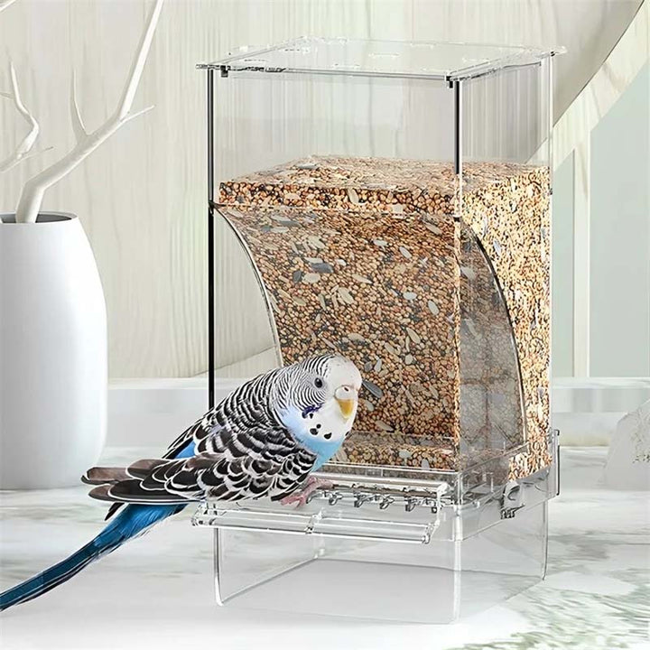 Lisslune | Automatic transparent bird feeder without spills