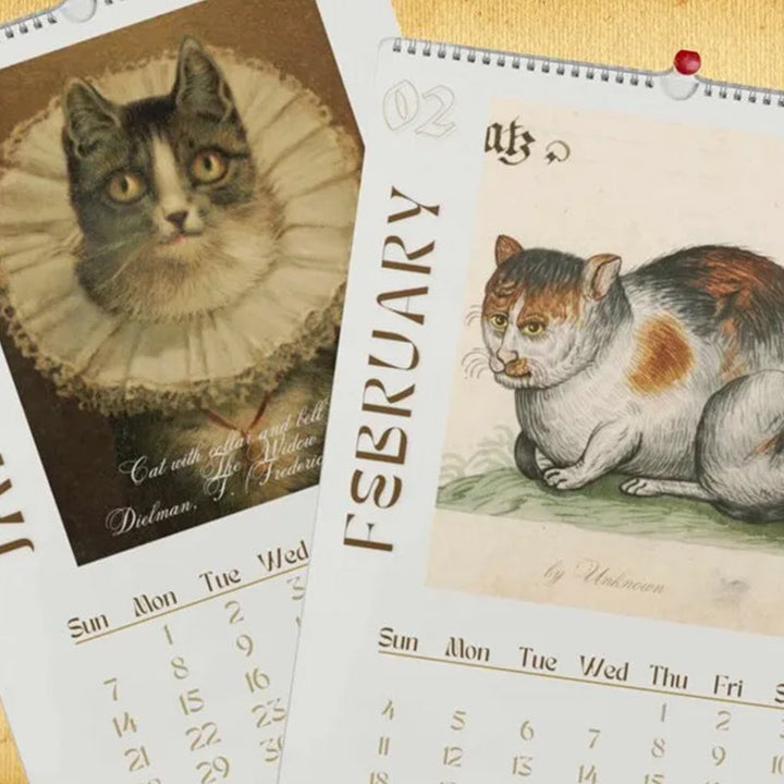 Lisslune | 2024 Wall Calendar, Funny Art Novelty Gift