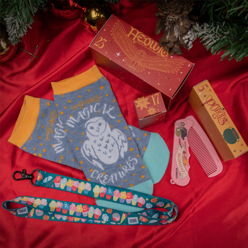 Lisslune | Harry Advent Calendar 2024 Deluxe Edition