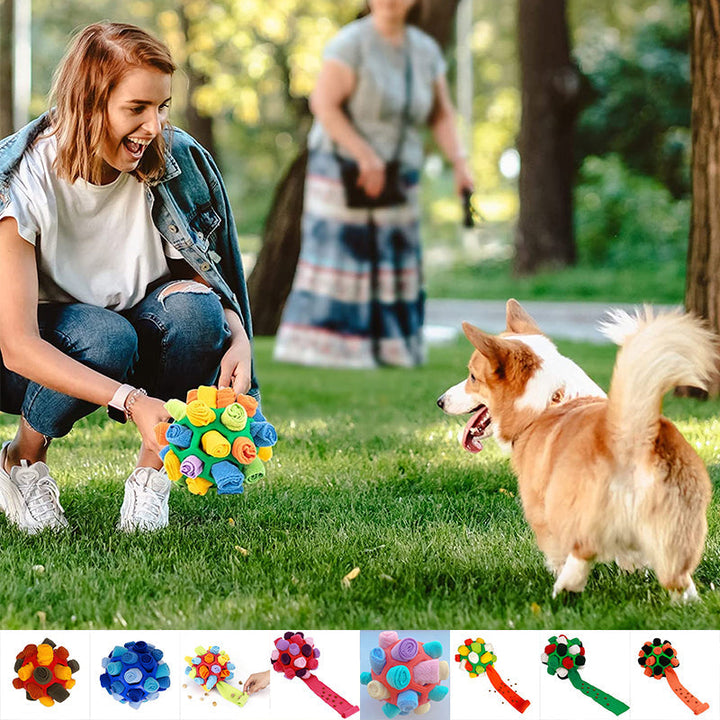 Lisslune | Chew toy for dogs