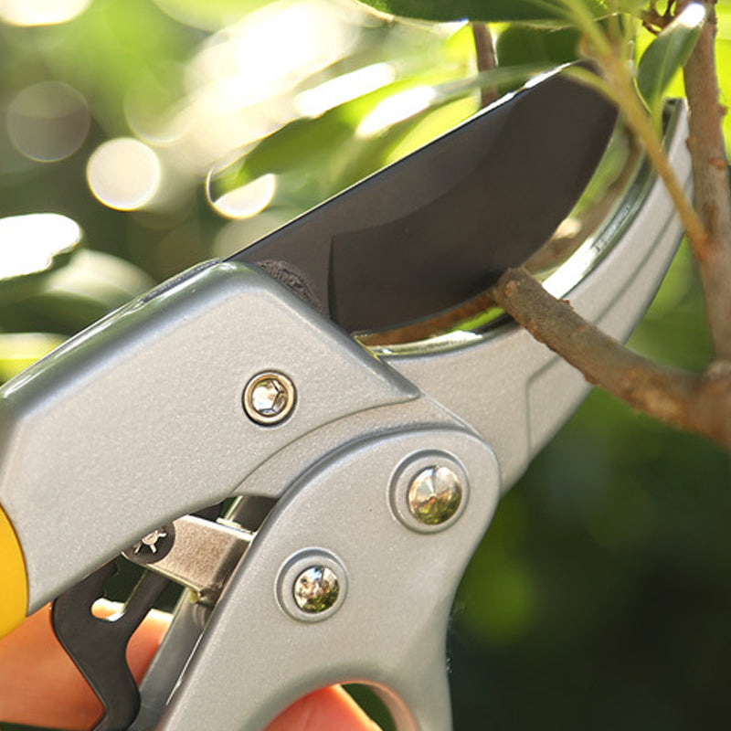 Lisslune | Professional Scissors Garden Hedge Trimmer