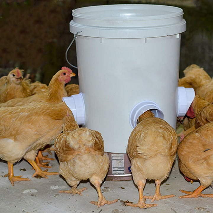Lisslune | DIY Chicken Feeder